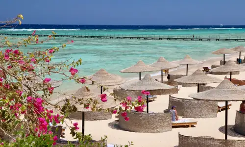 مرسى علم: ملاذ المشاهير وأجمل شواطئ البحر الأحمر - المنتجعات السياحية في مرسى علم