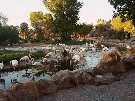 Al Areen Wildlife Park & Reserve.jpg