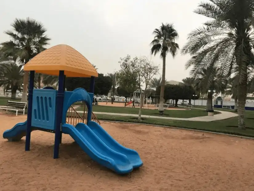 Colorful children's playground slide set amidst palm trees at a tranquil park.