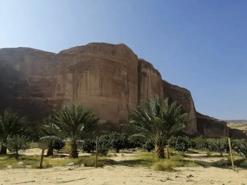 Lush palm groves against the imposing facade of AlUla’s sandstone mountains.