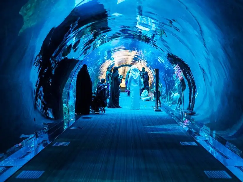 Inside Dubai Aquarium and Underwater Zoo