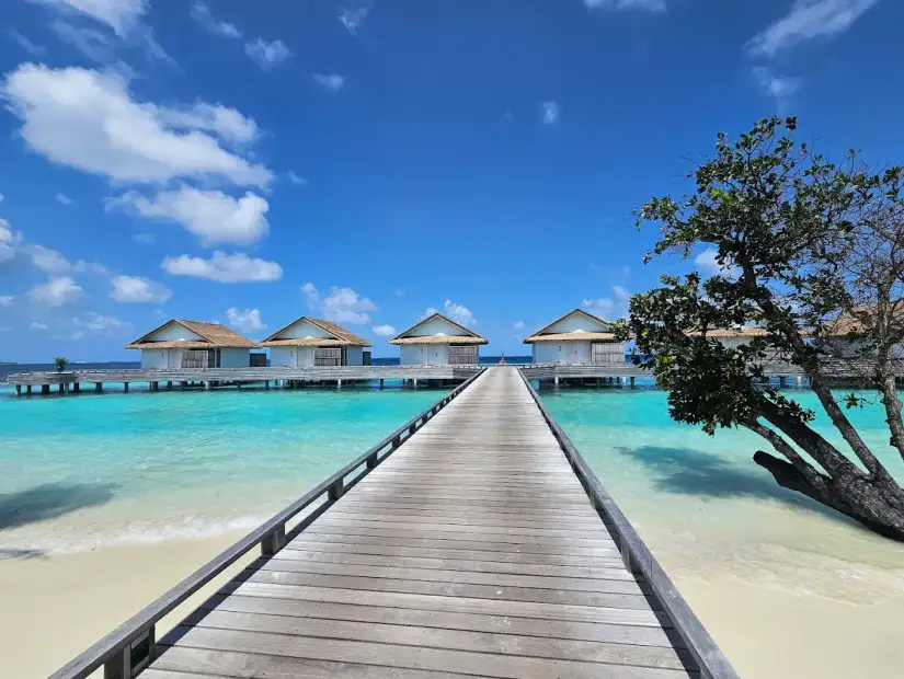 Bandos Maldives.webp