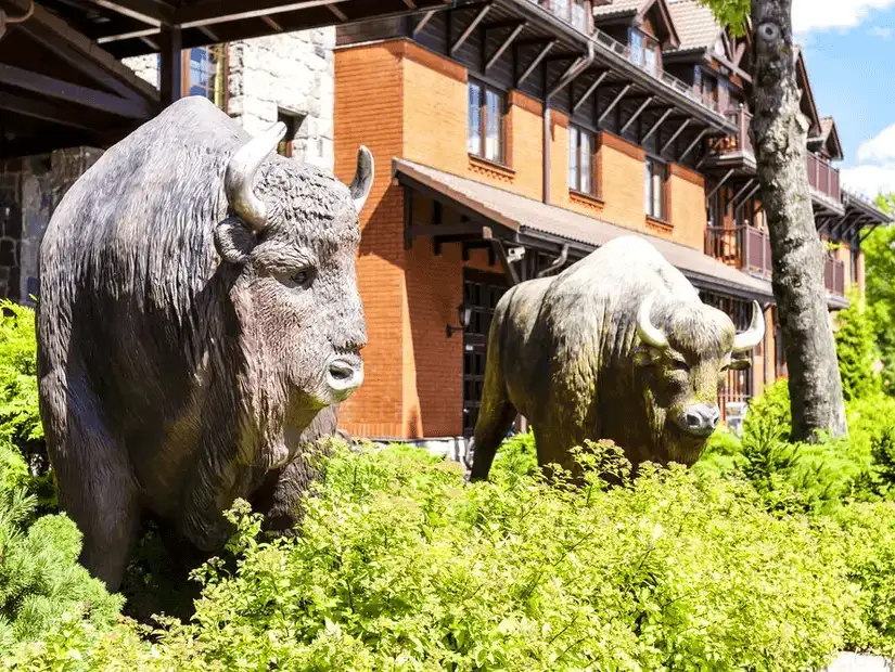 Life-like bison statues at the entrance of Białystok National Park, symbolizing the region's natural heritage.