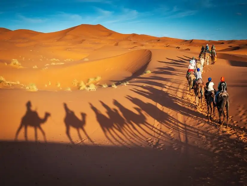 Camel tour Dubai desert