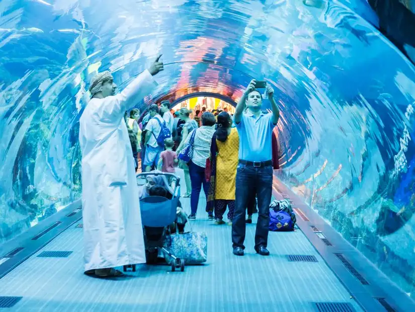 People walking in an aquarium tunnel.