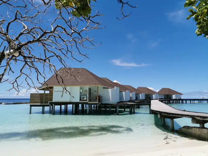 Ellaidhoo Maldives by Cinnamon.webp