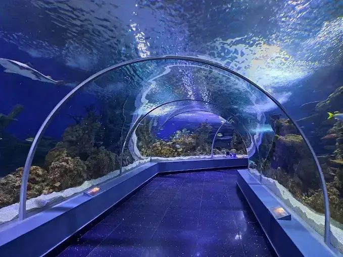 Fakieh Aquarium.webp