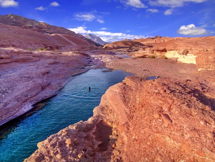 Person swimming in Hatta Rock Pools