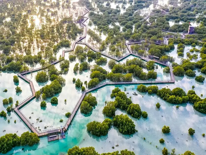 Aerial shot of Jubail Mangrove Park