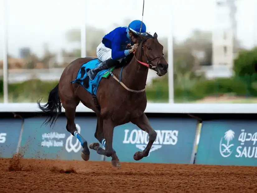 King Abdulaziz Equestrian Field.jpg