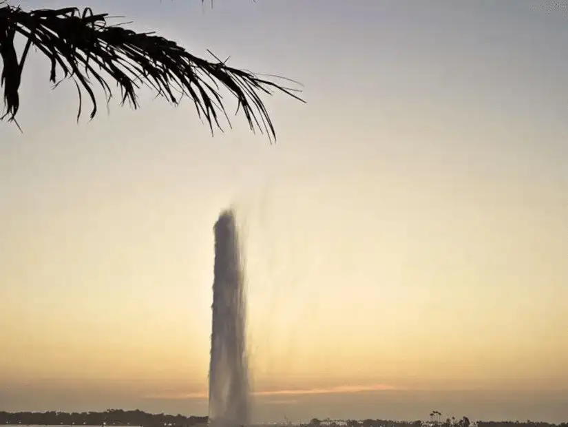 A single palm tree and the King Fahad fountain at dusk.