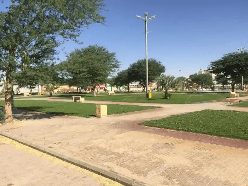 Green and serene open space at King Faisal Park.