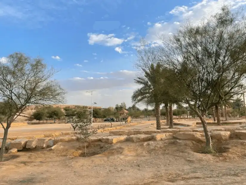 A peaceful afternoon in a desert park dotted with native trees.