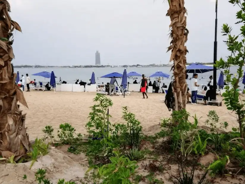 Busy beach day with colorful umbrellas and families enjoying the seaside near a lush palm grove.