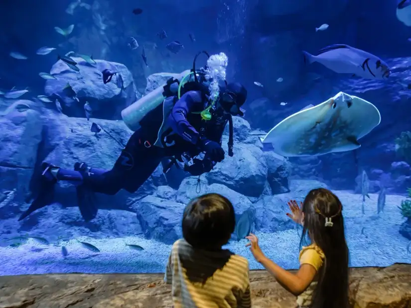 Marassi Aquarium.webp