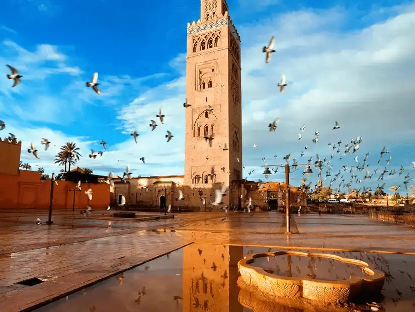 Birds taking flight around a minaret in Marrakesh.