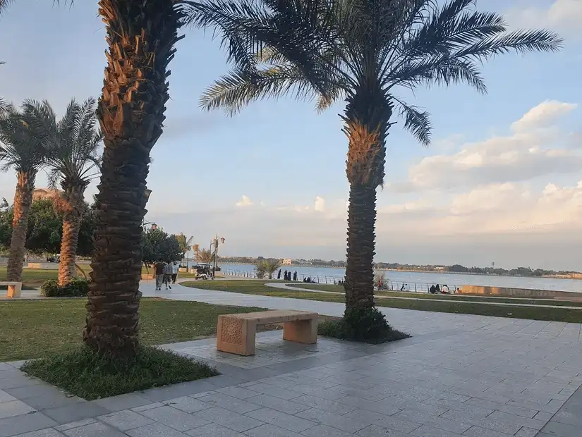 Serene pathway lined with palm trees leading towards a tranquil waterfront at Middle Corniche Park.