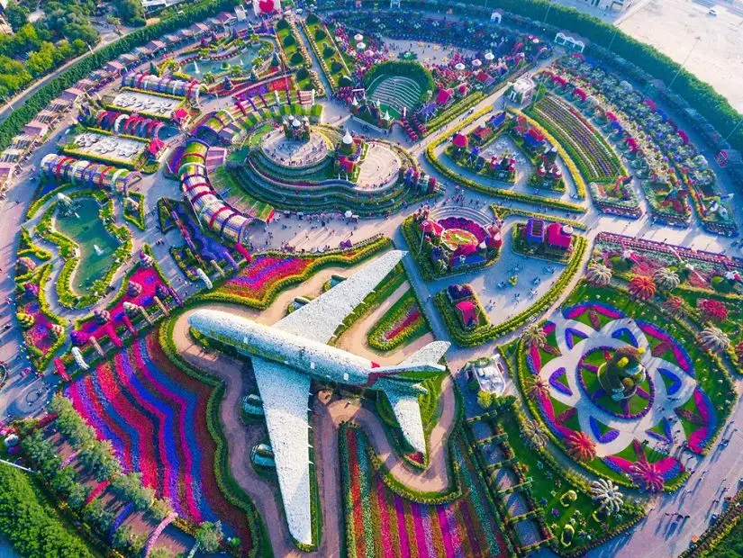 Aerial shot of the Miracle Garden, Dubai