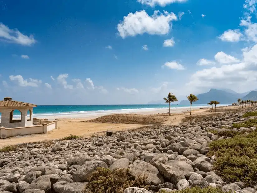 Mughsail Beach's shoreline with its sandy beach and scattered palm trees against a mountain backdrop.