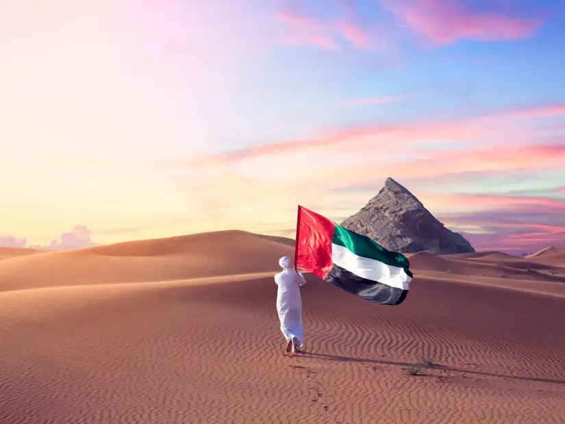 A lone figure with the UAE flag stands in the desert.