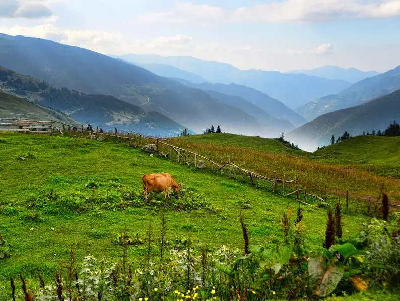 Famous plateau in Trabzon known as Haldizen or Demirkapı 