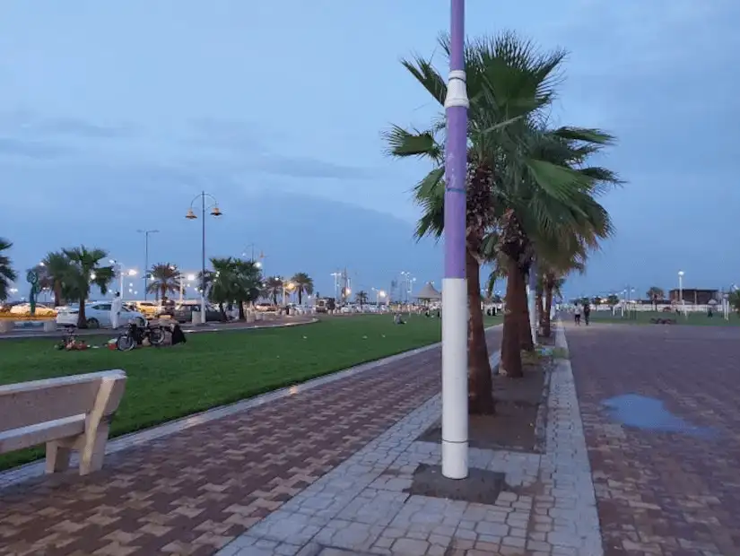 A tranquil promenade lined with palm trees against a backdrop of city lights, exuding an urban park's evening calm.