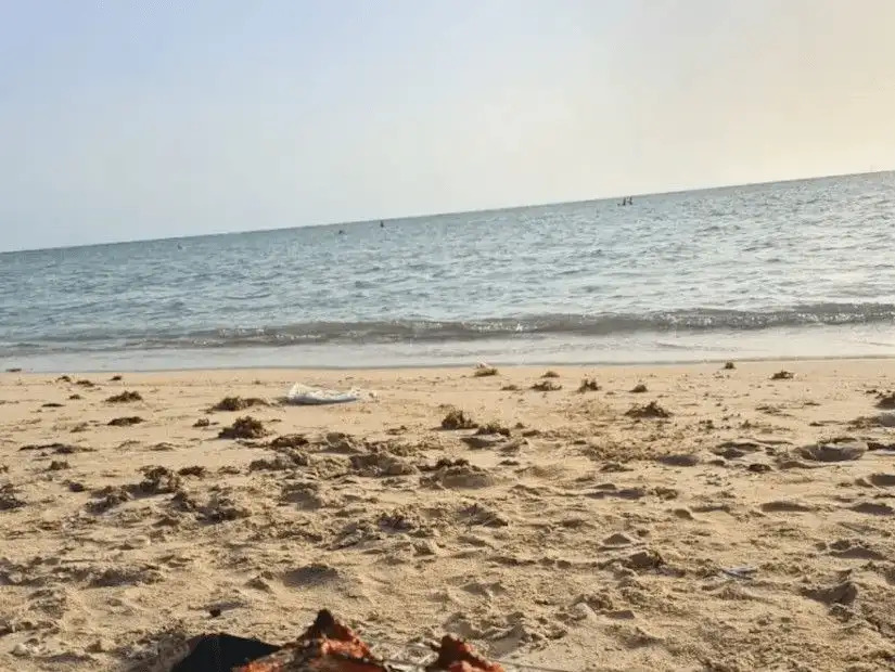 A quiet morning on a sandy beach with traces of seaweed and calm waves in the background.