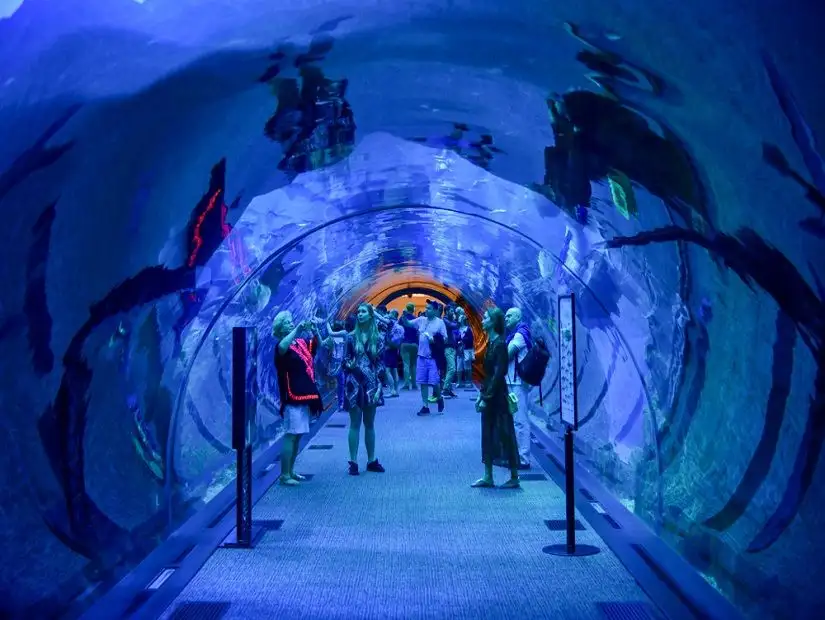 Interior of the National Aquarium of Abu Dhabi