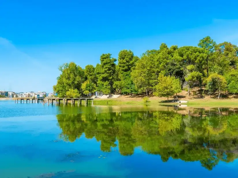 Tirana Park.jpg