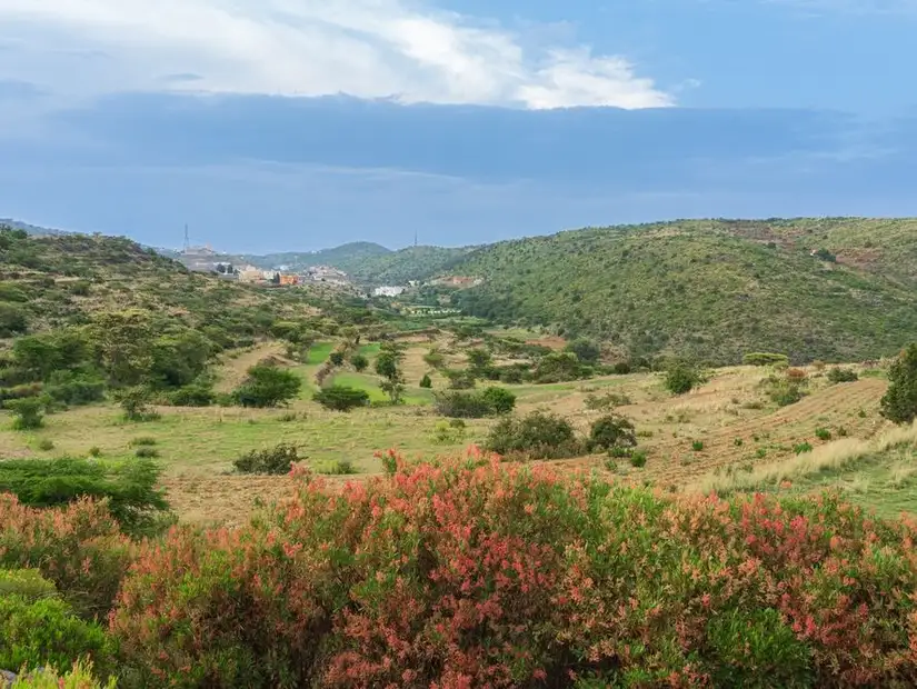 abha saudi arabia.jpg