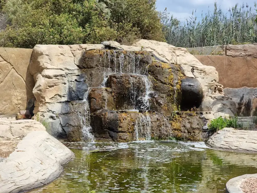 افريكانو بارك (3).webp
