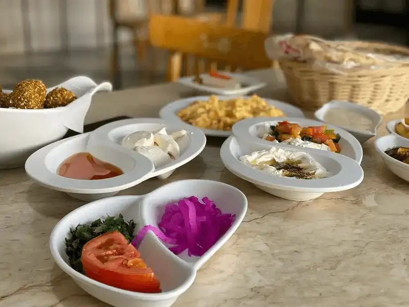 A vibrant plate featuring crispy falafel, fresh salad, hummus, and roasted eggplant, paired with lentil soup and flavorful stew.