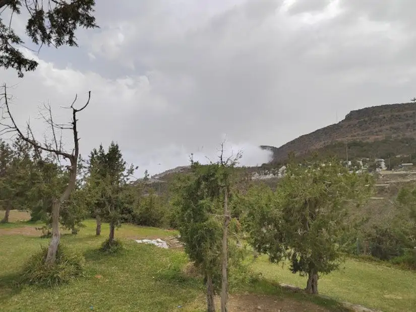 منتزه غابة رغدان