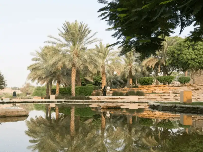 Palm trees reflect beautifully in a tranquil pond in this peaceful park.