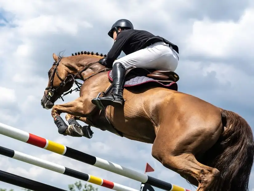 Horse jumping over a high barrier during an equestrian event.