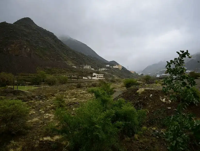 Lush green landscape of Al Hada with mountains in the background.