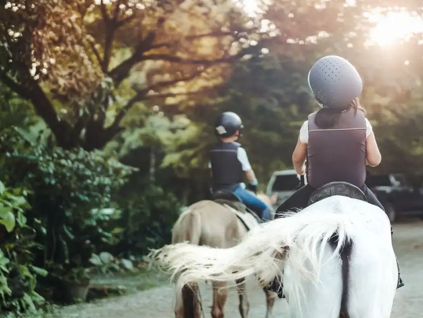 Peaceful trail ride through lush scenery.