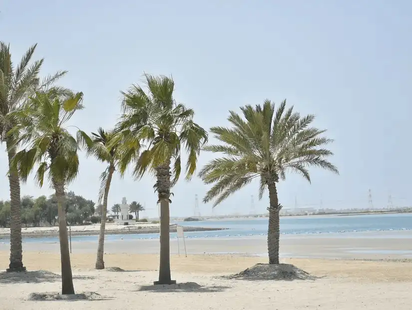 al_mirfa_beach.jpg