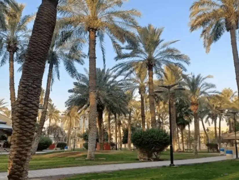al_olaya5.jpg