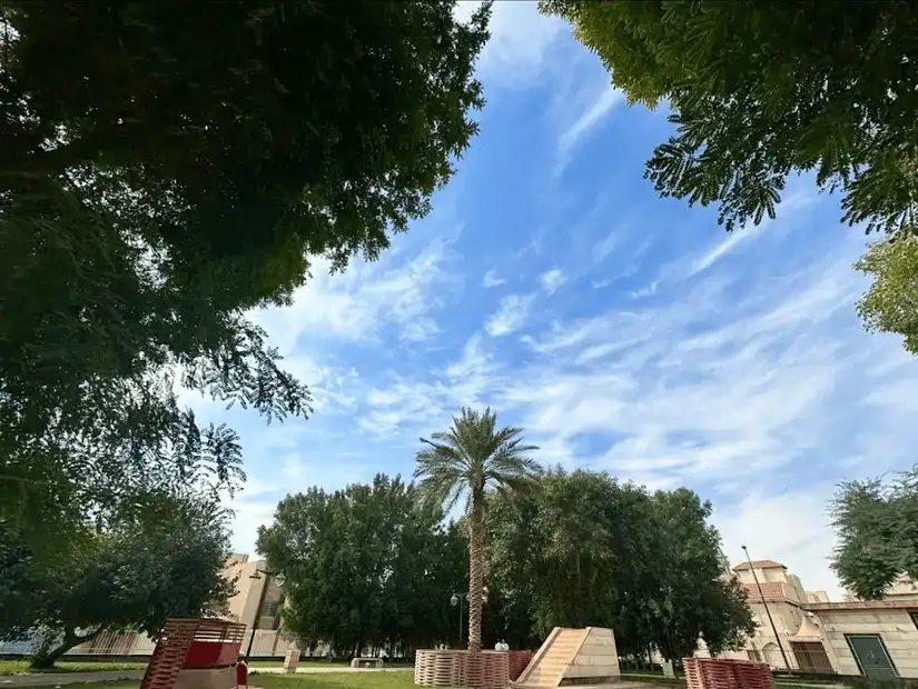 al_olaya6.jpg