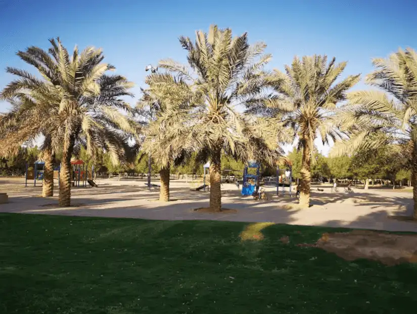 A relaxing park with tall palm trees and a play area for children.