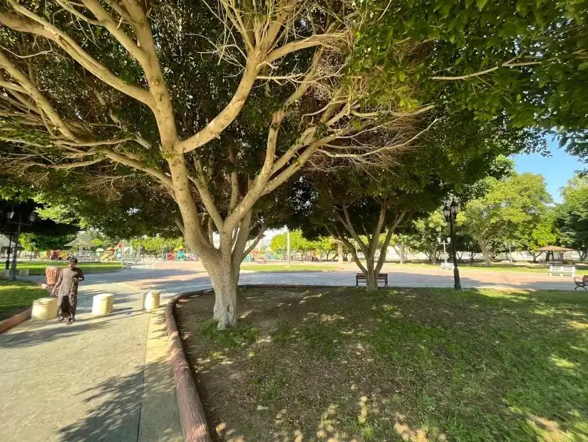 alanoud-park2