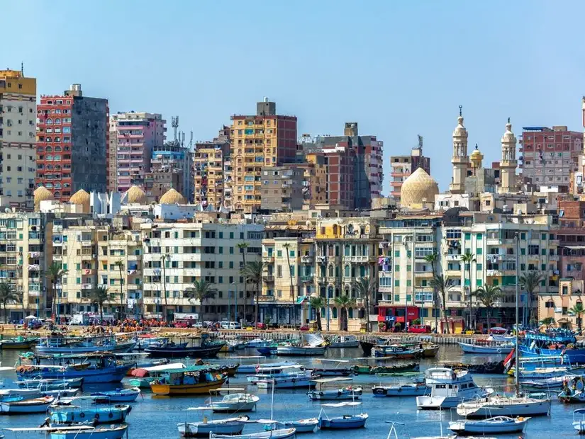 alexandria2.jpg