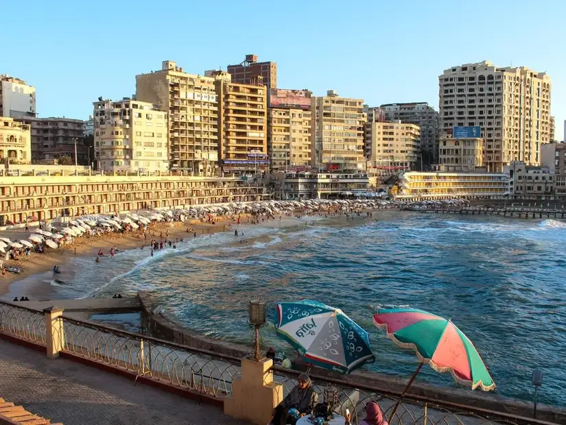 alexandria3.jpg