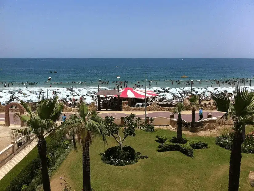 A crowded beach with sunbathers under white umbrellas and palm trees in the foreground.