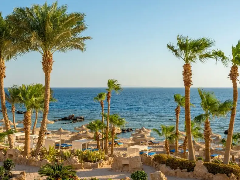 الغردقة.jpg
