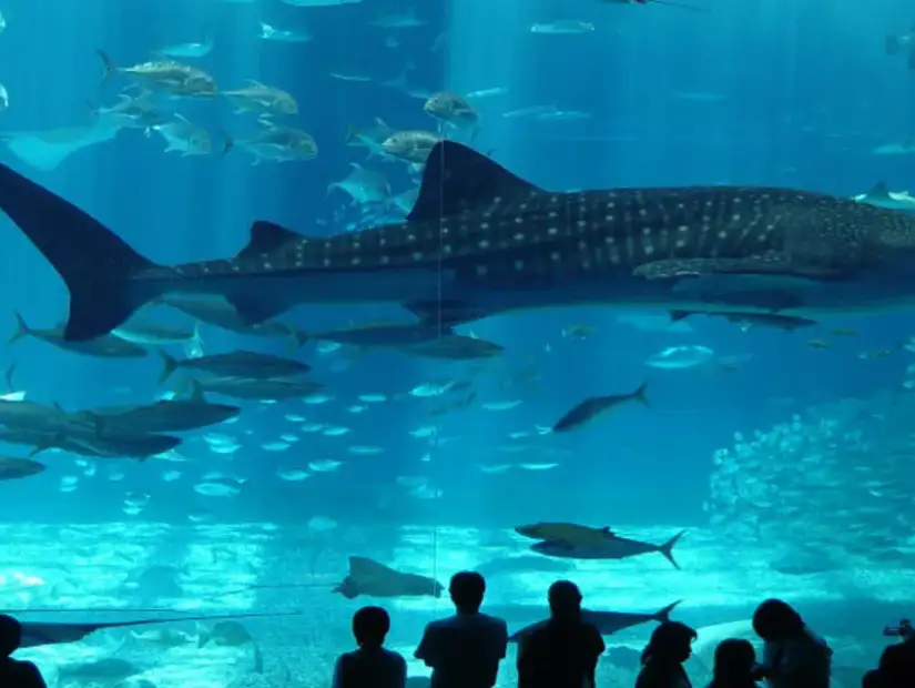 المركز العلمي.webp