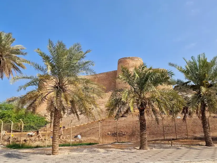 القطيف.webp