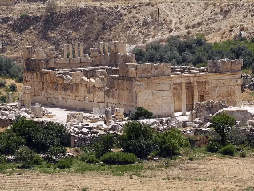 Ancient cave dwellings beneath olive trees 