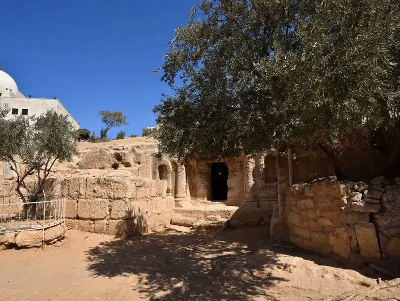 Historic ruins with olive trees